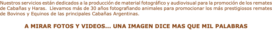 Nuestros servicios están dedicados a la producción de material fotográfico y audiovisual para la promoción de los remates de Cabañas y Haras. Llevamos más de 30 años fotografiando animales para promocionar los más prestigiosos remates de Bovinos y Equinos de las principales Cabañas Argentinas. A MIRAR FOTOS Y VIDEOS... UNA IMAGEN DICE MAS QUE MIL PALABRAS 