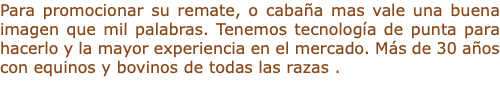 Para promocionar su remate, o cabaña mas vale una buena imagen que mil palabras. Tenemos tecnología de punta para hacerlo y la mayor experiencia en el mercado. Más de 30 años con equinos y bovinos de todas las razas .